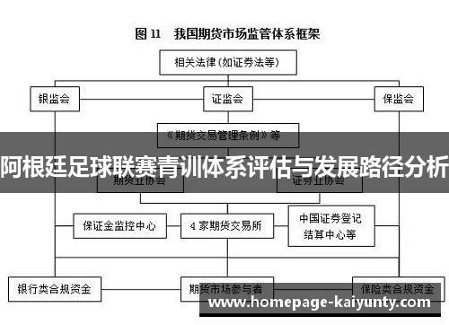 阿根廷足球联赛青训体系评估与发展路径分析