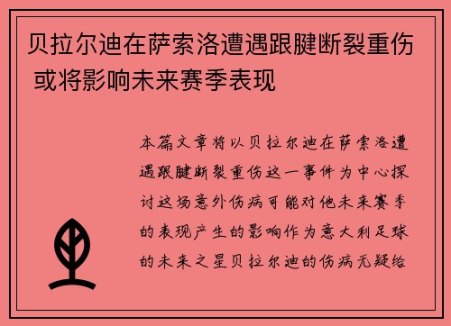 贝拉尔迪在萨索洛遭遇跟腱断裂重伤 或将影响未来赛季表现